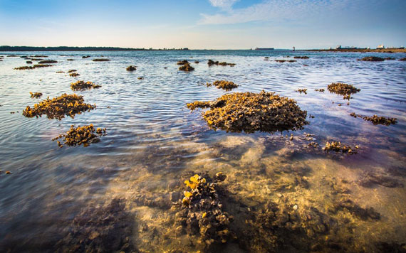 pulau_semakau Pulau Semakau Exploration