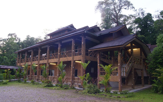 taman_negara Taman Negara Adventure Expedition
